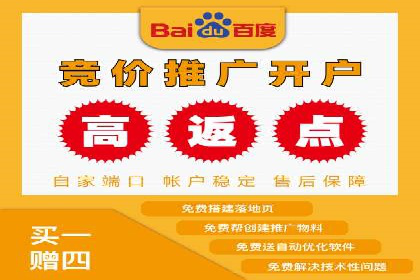 百度推广代运营公司：打造高效的网络营销团队